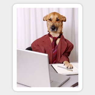 Business Dog Sticker